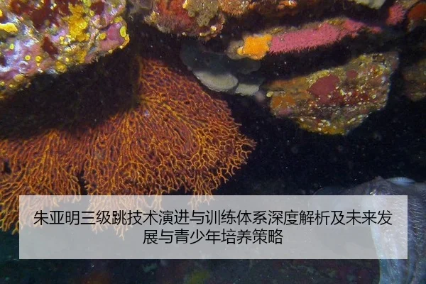 朱亚明三级跳技术演进与训练体系深度解析及未来发展与青少年培养策略